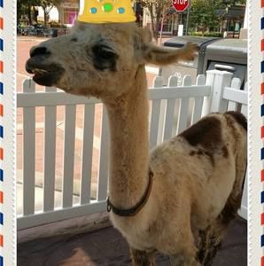 Meet your Posher, Erin